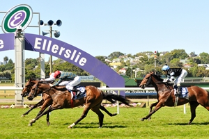 Fix - NZB Royal Stakes